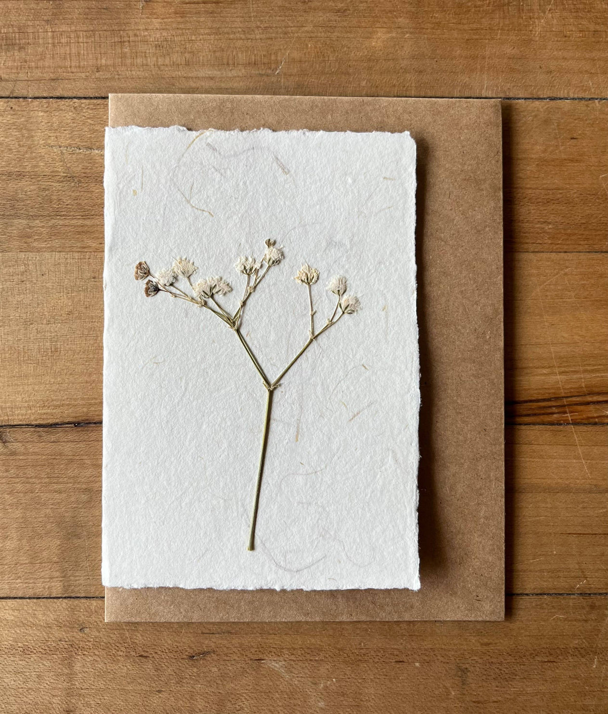 Baby's Breath Pressed Flower greeting card