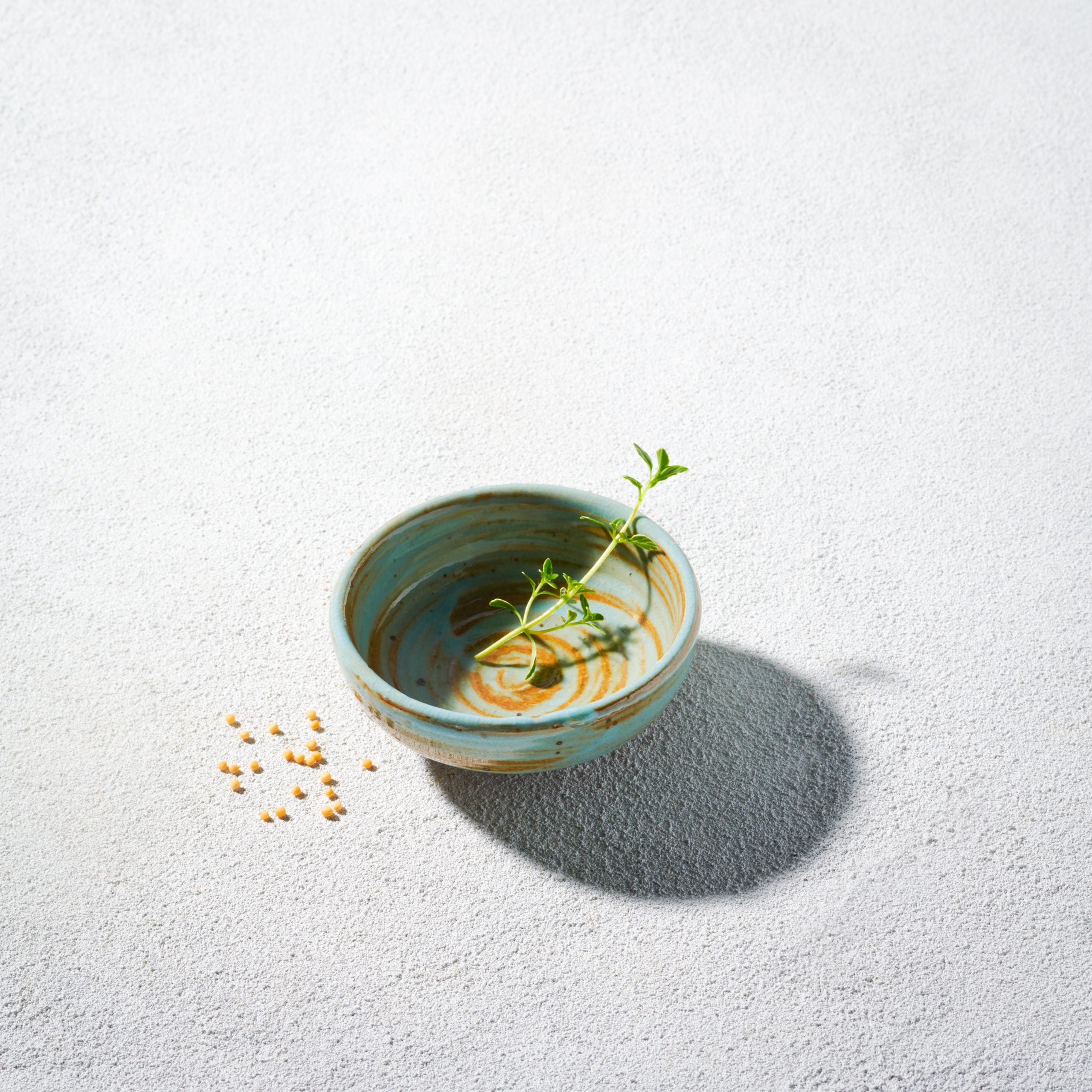 Small ceramic bowl with a plant on a light gray surface